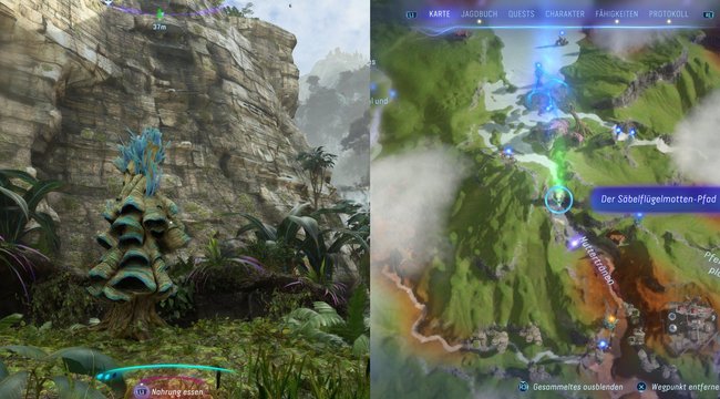 Hier findet ihr den sechsten Säbelflügelmotten-Pfad.