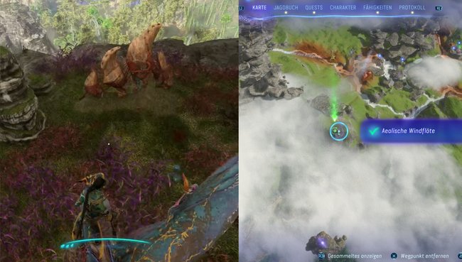 Hier findet die vierte aeolische Windflöte.