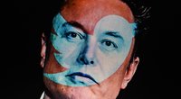 Bittere Pille für Elon Musk: Von Twitter ist nicht mehr viel übrig