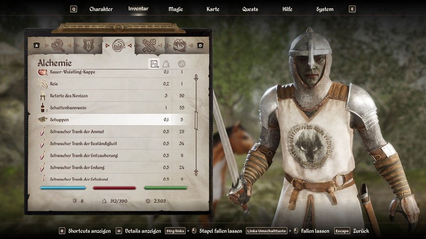 Ansicht des Inventars in The Elder Scrolls 4: Oblivion Remastered