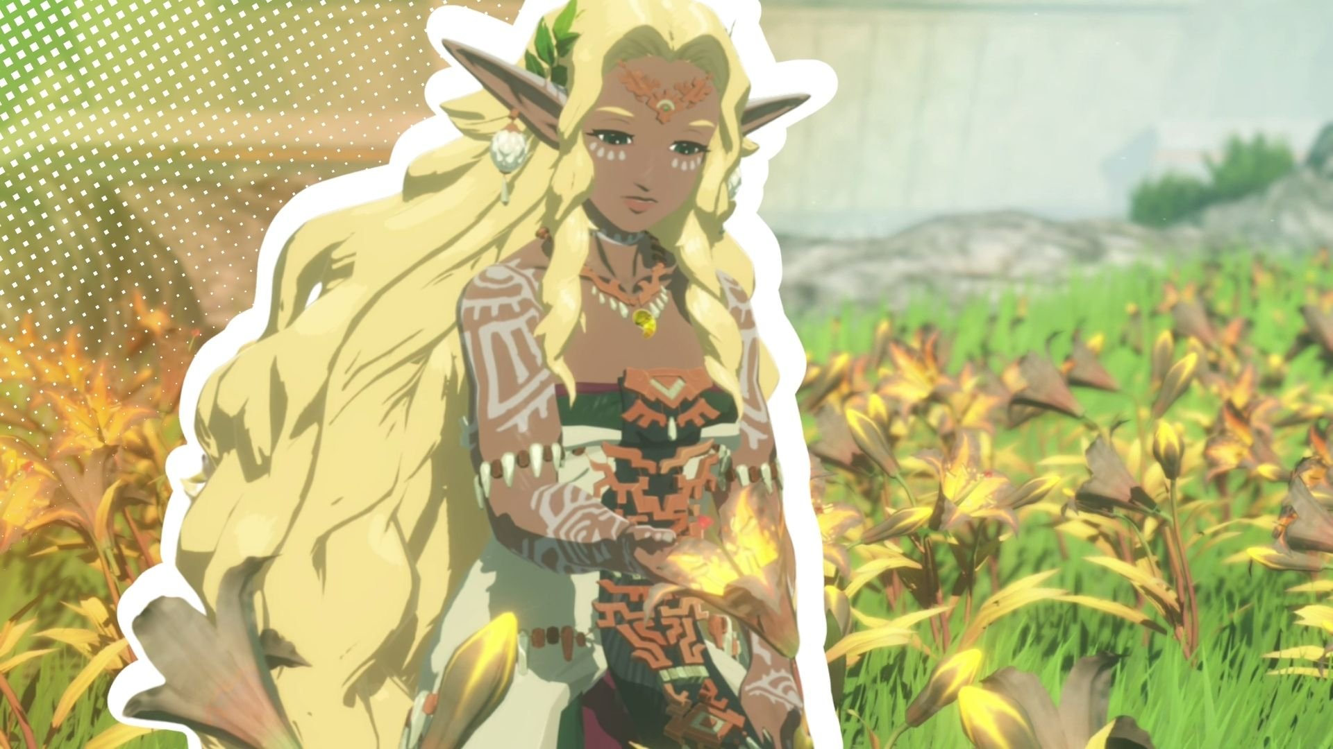 hyrule warriors chronik der versiegelung test