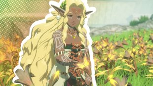 Hyrule Warriors – Chronik der Versiegelung im Test: Erfrischende Mechaniken für klassisches Gameplay