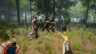 The Forest: Gibt's den Survival-Hit auf Steam?  Wo lässt es sich spielen?