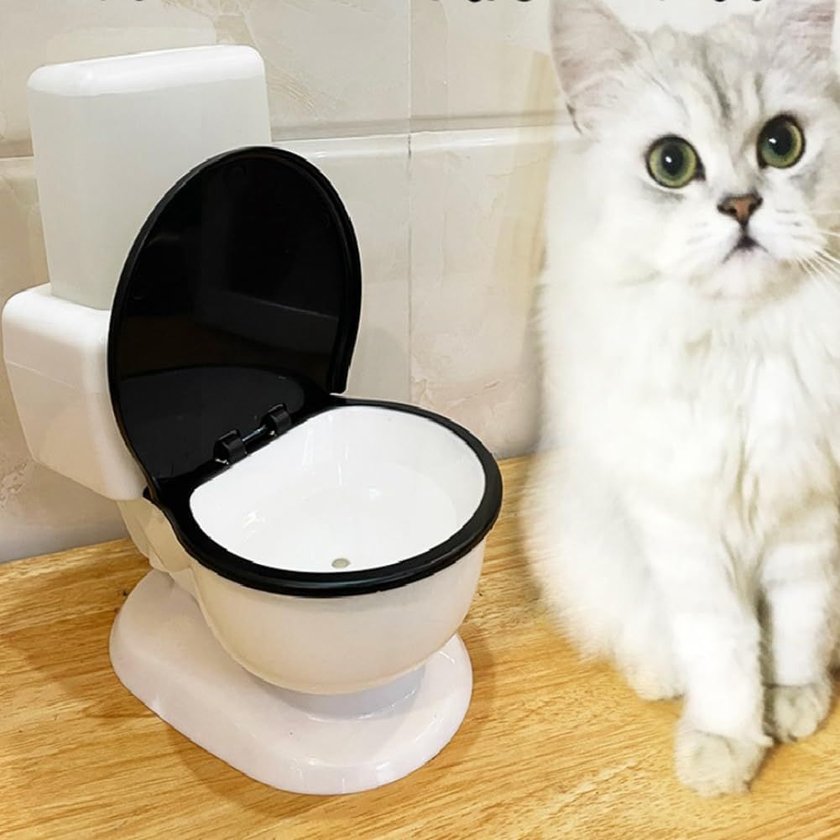 Weiße Katze mit grünen Augen sitzt neben einer Miniatur-Toilette, die als Wassernapf für Haustiere dient.