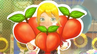 Story of Seasons: Grand Bazaar – Ausdauer erhöhen