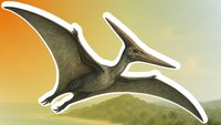 ARK Survival Evolved: So findet, zähmt und züchtet ihr Pteranodons