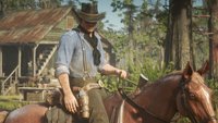 Red Dead Redemption 2: Dieses Detail haben 99 Prozent von euch verpasst