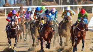 ClipMyHorse kündigen – so geht's