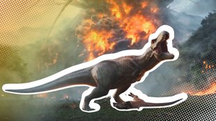 Alle Fleischfresser in JWE3