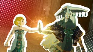 Hyrule Warriors – Chronik der Versiegelung: Alles zu Splitscreen, Koop und Multiplayer