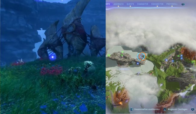 Hier findet die elfte aeolische Windflöte.