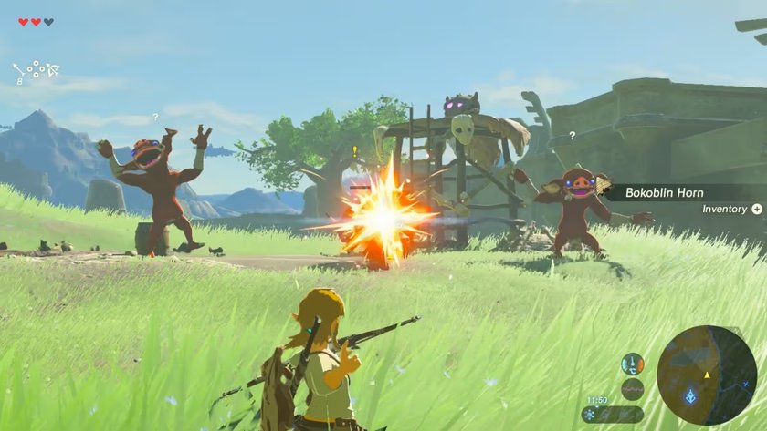 Ausschnitt aus Breath of The Wild