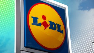 Lidl verkauft nächste Woche eine Tasche für 4,49 Euro, die jeder im Auto haben muss