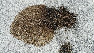 Einen Ölfleck entfernen – schnell und einfach mit Hausmitteln 