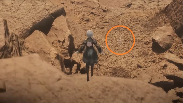 Sternträne #AT4756L - Fundort﻿