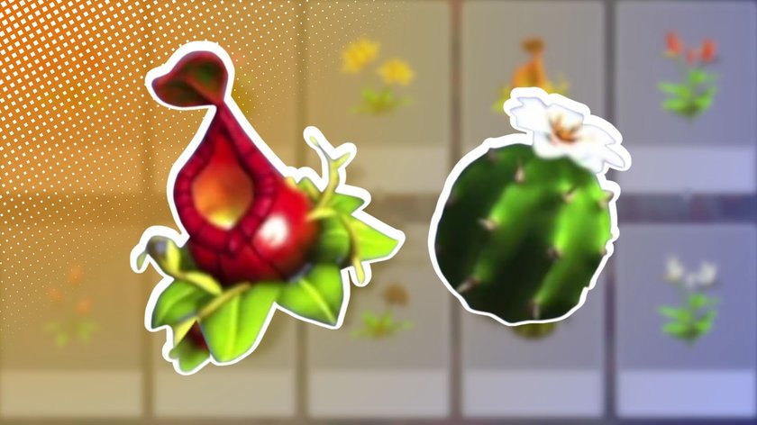 Diese Blumen findet ihr nicht in Dreamlight Valley, sondern auf der Insel der Ewigkeit.