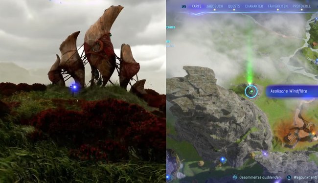 Hier findet die zwölfte aeolische Windflöte.