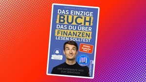 Amazon verkauft aktuell ein E-Book zum halben Preis, das mir Tausende Euro eingebracht hat