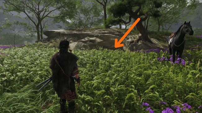 Fundort der "Yokai im Schnee"-Maske.