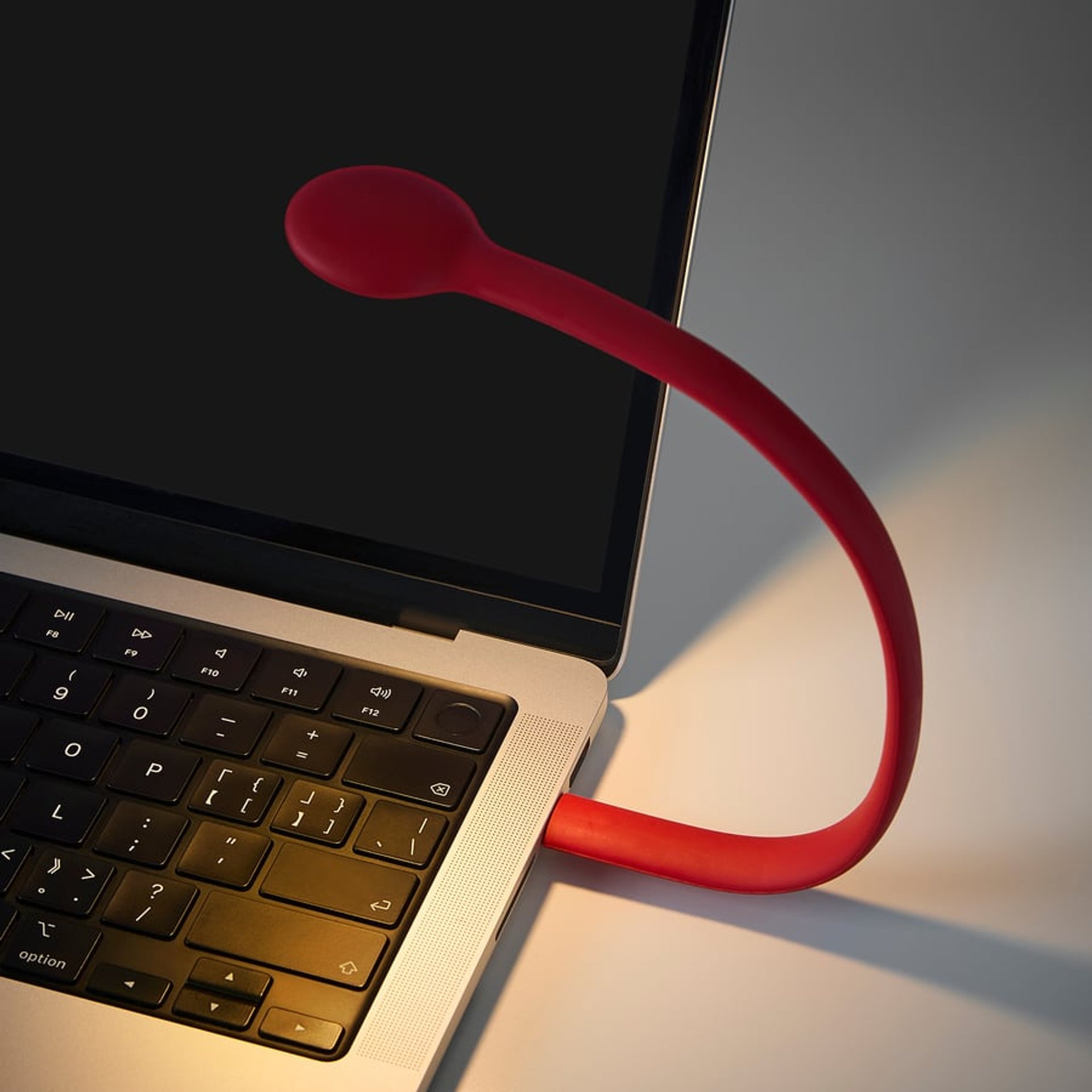 Достаточно одного порта USB-C.