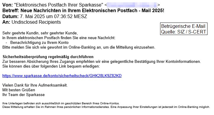 Die angebliche Sicherheitsüberprüfung.