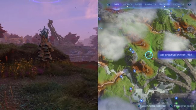 Hier findet ihr den fünften Säbelflügelmotten-Pfad.