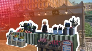 Pokémon-Legenden Z-A: Minzen kaufen und das Wesen ändern