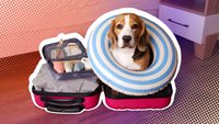 Apps für die Reisepackliste: Mit smarten Pack-Tools entspannt verreisen