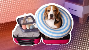 Apps für die Reisepackliste: Mit smarten Pack-Tools entspannt verreisen