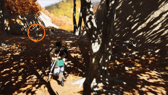 Fundort der dritten blauen Blume.