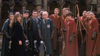 Edles Geschenk für Harry-Potter-Fans: Das Quidditch-Schachspiel ist ein echtes Kunstwerk