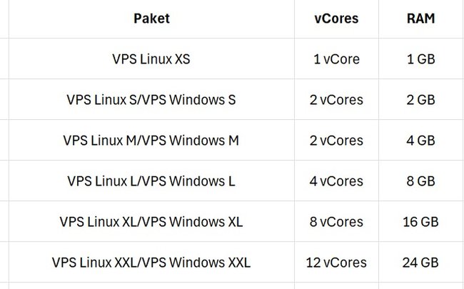 RAM und die CPU für die VPS Server Angebote