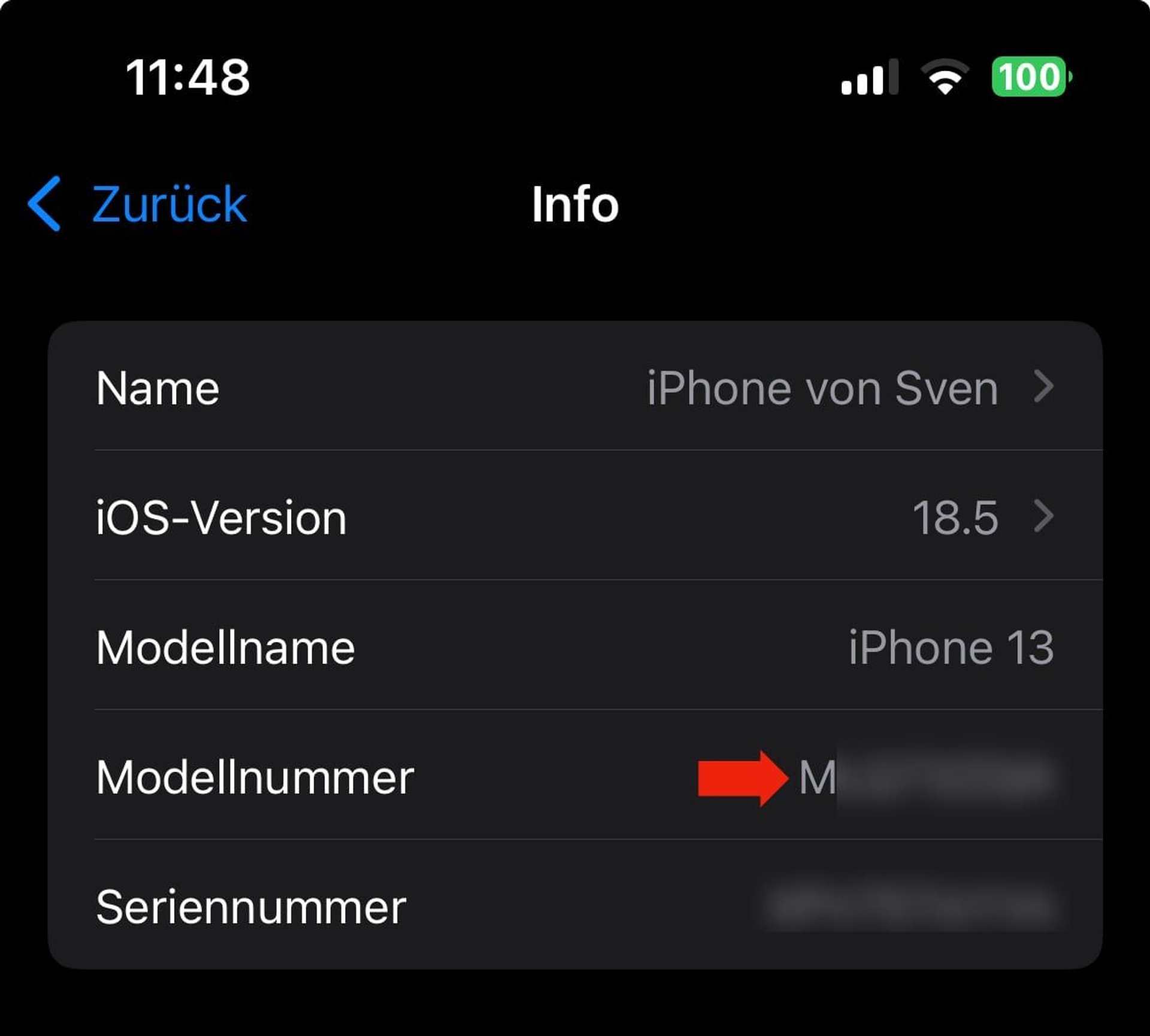 iPhone-Modellnummer in den Einstellungen von iOS.
