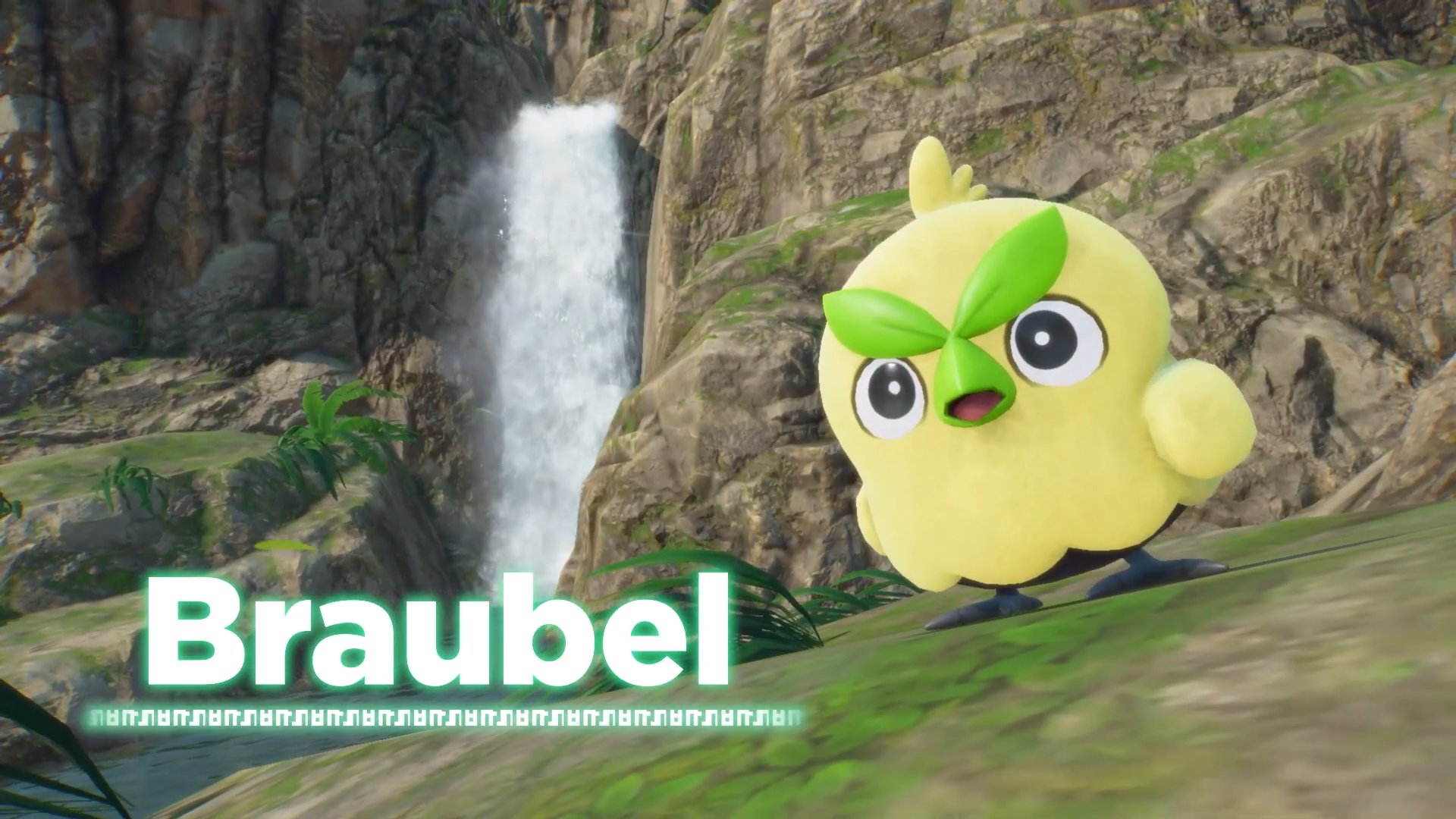 Braubel from Pok&eacute;mon Wind and Pok&eacute;mon Wave