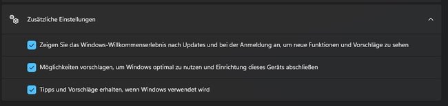 Screenshot aus dem Windows 11 Systemmenü, das die EInstellungen zeigt, die deaktiviert werden müssen