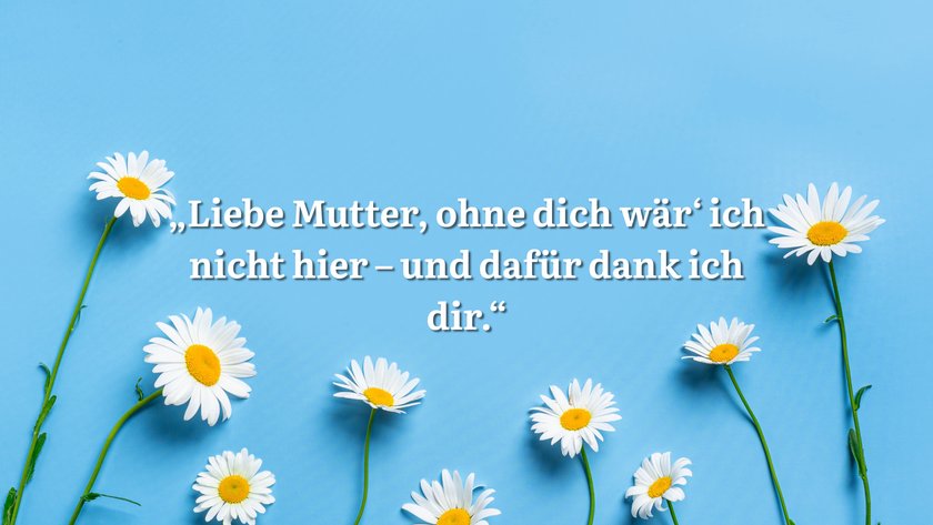 Blauer Hintergrund mit Gänseblümchen und Spruch.