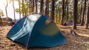 Campingfreuden ohne Kosten:  Diese Karte zeigt kostenlose Zeltplätze