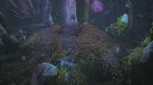 Der Herr der Ringe: Gollum – Ritualsteinrätsel und richtige Reihenfolge der Elben