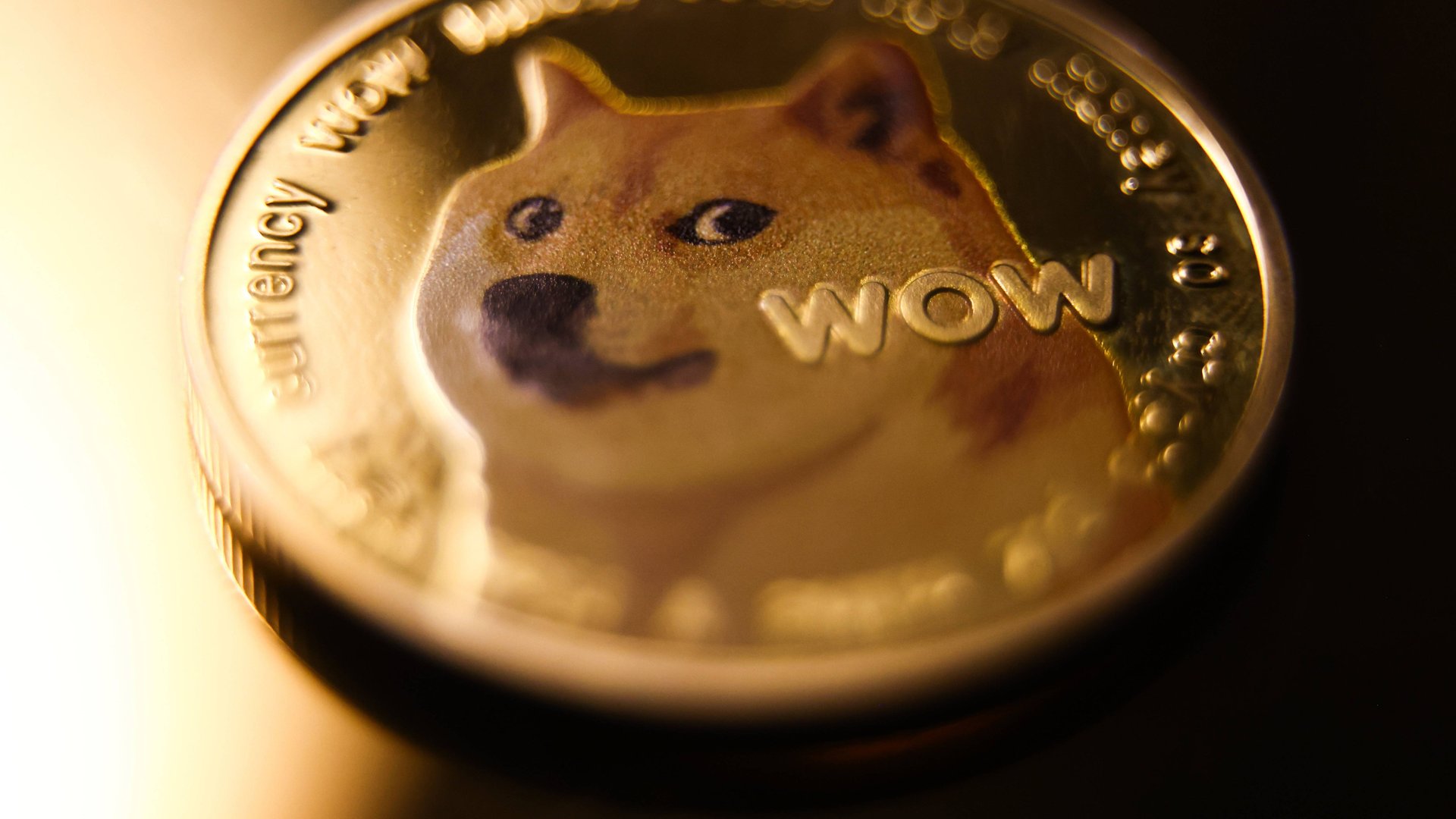 Dogecoin-Mining – das Wichtigste im Überblick