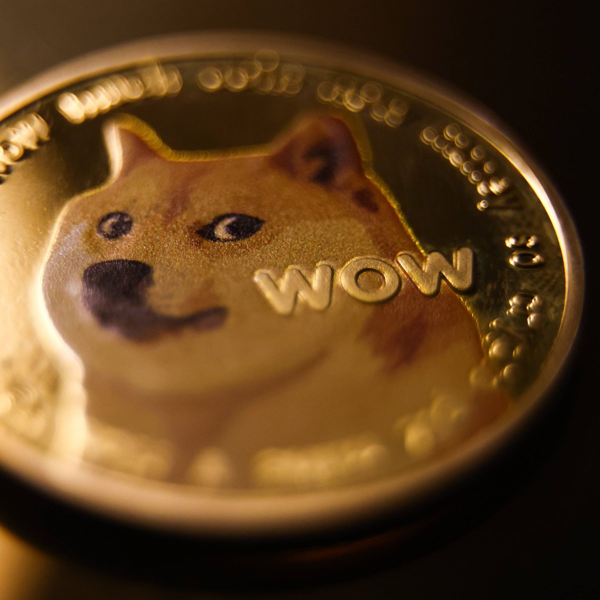Dogecoin-Mining – das Wichtigste im Überblick