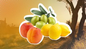 ARC Raiders: Zitronen, Aprikosen und Oliven für Scrappys Training finden