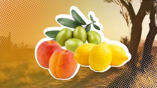 ARC Raiders: Zitronen, Aprikosen und Oliven für Scrappys Training finden