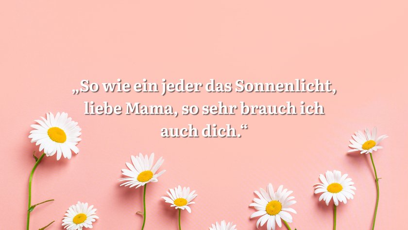 Rosa Hintergrund mit Gänseblümchen und Spruch.