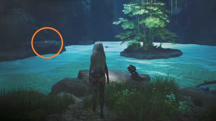 ﻿Sternträne #AB6148M - Fundort