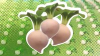 Animal Crossing - New Horizons: Rüben kaufen und Rübenpreise vorhersagen