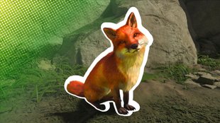 Ghost of Yotei: Alle Fuchsbauten finden und Fuchsmaske freischalten