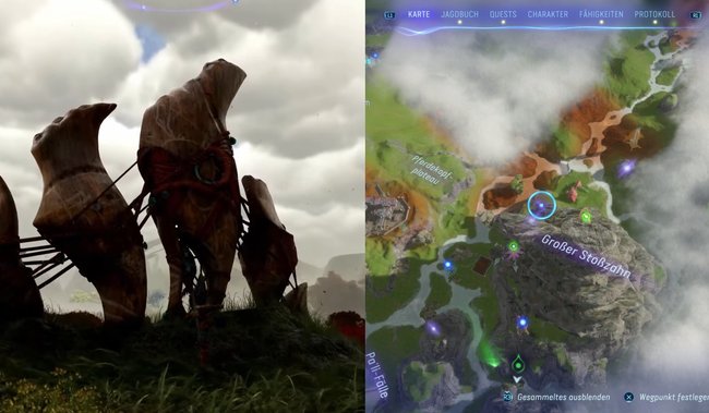 Hier findet die siebte aeolische Windflöte.