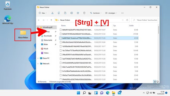 Ordner mit Dateien und Schriftzug Strg + V.