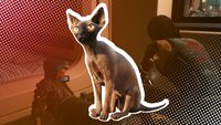 Cyberpunk 2077: So bekommt ihr die Katze „Nibbles“ als Haustier