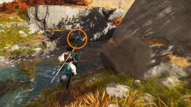 Fundort der zweiten blauen Blume.